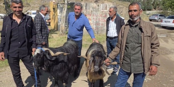 diyarbakir-cermikte-arefe-gununde-kurbanlik-pazarinda-yogunluk-ve-fiyatlar-FrDt6YnW.jpg