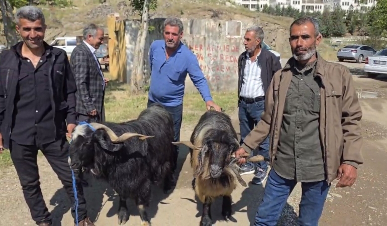 diyarbakir-cermikte-arefe-gununde-kurbanlik-pazarinda-yogunluk-ve-fiyatlar-FrDt6YnW.jpg