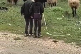 dogukentte-koyun-surusuyle-kucuk-neseler-ilbizce-anlar-among-dogukanlar-kPxEEJEW.jpg