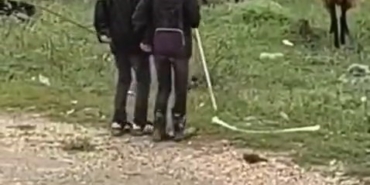 dogukentte-koyun-surusuyle-kucuk-neseler-ilbizce-anlar-among-dogukanlar-kPxEEJEW.jpg