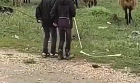 Doğukent’te Koyun Sürüsüyle Küçük Neşeler: İlbizce Anlar among Doğukanlar