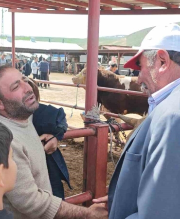 erzurum-askalede-kurban-pazarinda-fiyatlar-yukselen-trendde-XnGpqKnp.jpg