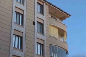 igdirda-4-kattaki-dis-duvara-bagli-kus-olayi-kargalarla-catismada-yasananinti-D9eYurKR.jpg