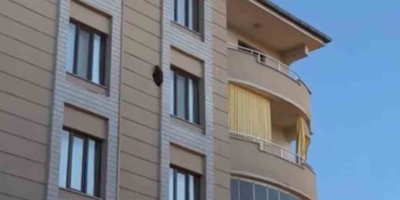 Iğdır’da 4. kattaki dış duvara bağlı kuş olayı: Kargalarla çatışmada yaşananıntı