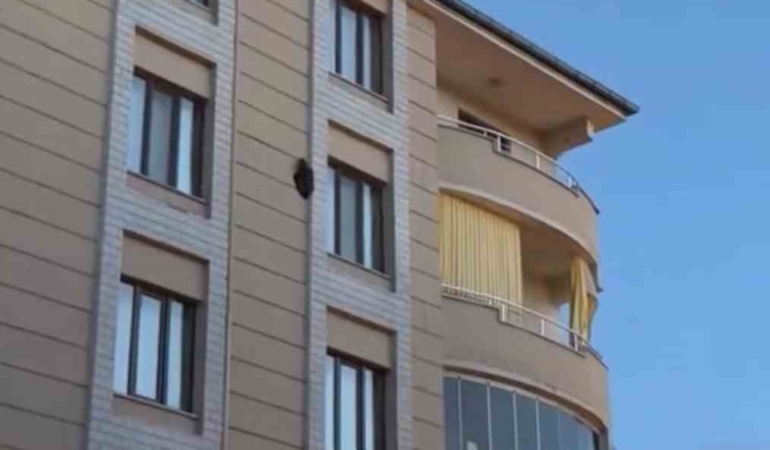 igdirda-4-kattaki-dis-duvara-bagli-kus-olayi-kargalarla-catismada-yasananinti-D9eYurKR.jpg
