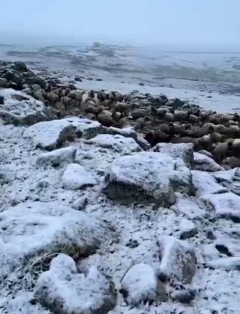 karsta-mayis-sonunda-gelen-kar-yagisi-suruler-ve-koyler-hazirliksiz-kaldi-YhPzJArd.jpg