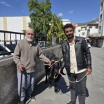 kurbanlik-pazari-tasindiran-anlar-70-kiloluk-keci-36-bin-liraya-satildi-UD6Kmq2p.jpg