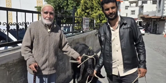 kurbanlik-pazari-tasindiran-anlar-70-kiloluk-keci-36-bin-liraya-satildi-UD6Kmq2p.jpg