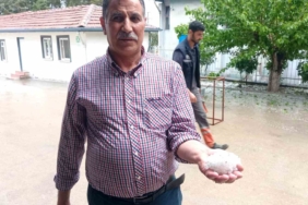 malatyada-dolu-yagisi-kayisi-ureticilerini-endiselendirdi-ts86pO7s.jpg
