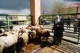 musta-kadin-ureticilere-kucukbas-hayvan-destegiyle-aile-isletmeleri-gucleniyor-eifu51Pr.jpg