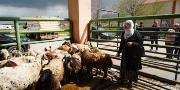 musta-kadin-ureticilere-kucukbas-hayvan-destegiyle-aile-isletmeleri-gucleniyor-eifu51Pr.jpg