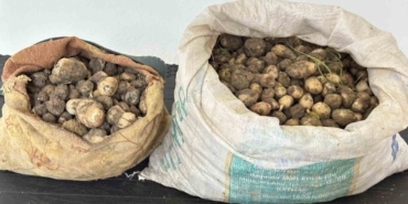 salep-yetistirenlere-yuzlesen-yetkili-ekiplerin-operasyonunu-detaylandiran-rapor-EzUBEv9A.jpg