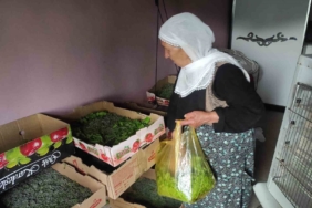 sasonda-ipek-bocekciligi-yukseliste-72-aileye-baslangic-dagitimi-ve-beklenen-buyume-zeTPLIHt.jpg