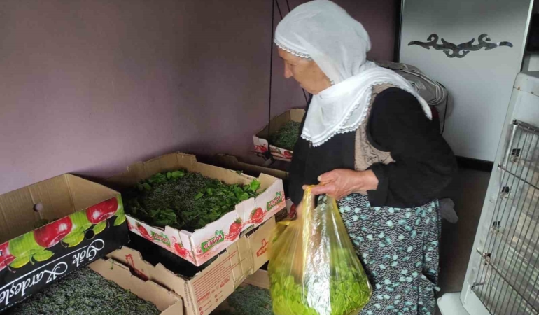 sasonda-ipek-bocekciligi-yukseliste-72-aileye-baslangic-dagitimi-ve-beklenen-buyume-zeTPLIHt.jpg