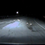 yol-kenarindaki-artik-yiyecekler-ve-copler-yaban-hayati-ve-trafik-icin-tehditler-I8wGQ2Me.jpg