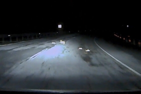 yol-kenarindaki-artik-yiyecekler-ve-copler-yaban-hayati-ve-trafik-icin-tehditler-I8wGQ2Me.jpg
