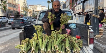 yuksekovada-uckun-sifali-bitki-olarak-tezgahlarda-yerini-aldi-nuIScxM2.jpg