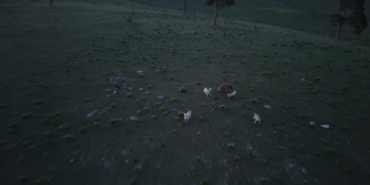 boz-ayinin-hayatta-kalma-mucadelesi-kopeklerle-geceden-dron-kamerasinda-E4TYIMg5.jpg