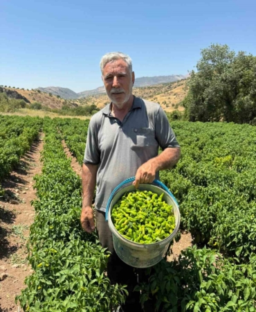 cermik-biberi-cografi-isaretli-lezzetin-marketlerdeki-yolculugu-jiVEILyK.jpg