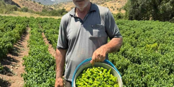 Çermik Biberi: Coğrafi İşaretli Lezzetin Marketlerdeki Yolculuğu