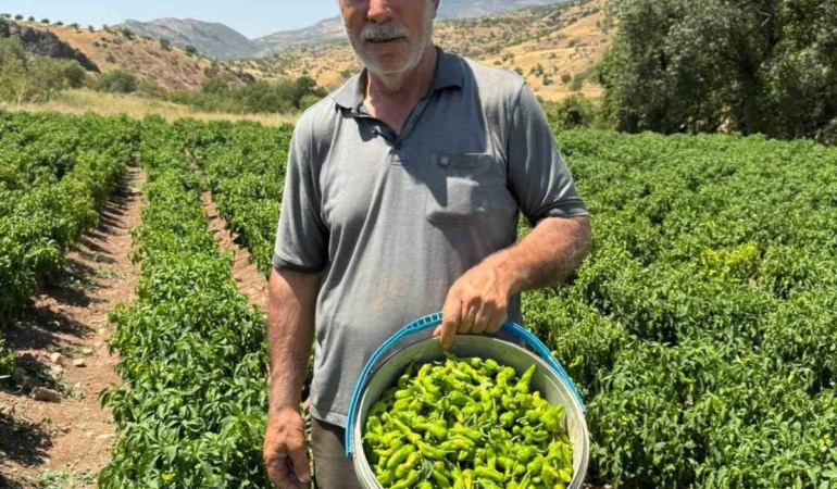 cermik-biberi-cografi-isaretli-lezzetin-marketlerdeki-yolculugu-jiVEILyK.jpg