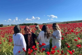 elazig-yol-kenarinda-canli-gelincik-tarlalari-fotograf-tutkunlarini-buyuledi-CMxgH9h7.jpg