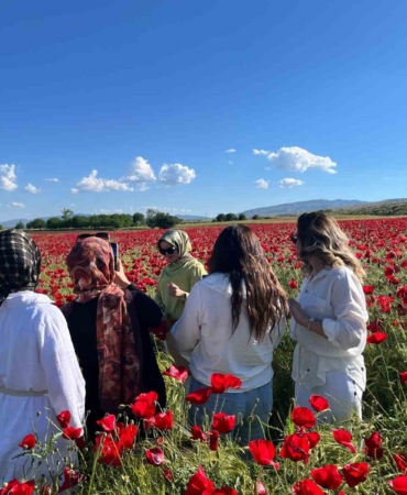 elazig-yol-kenarinda-canli-gelincik-tarlalari-fotograf-tutkunlarini-buyuledi-CMxgH9h7.jpg