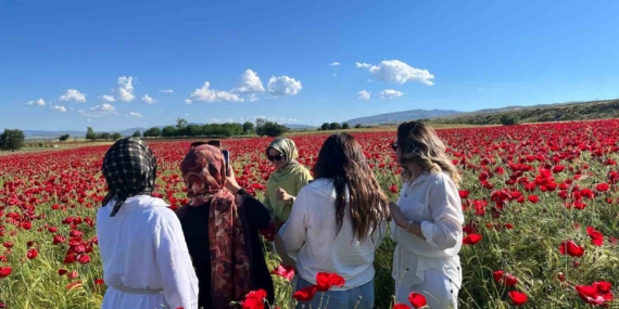 elazig-yol-kenarinda-canli-gelincik-tarlalari-fotograf-tutkunlarini-buyuledi-CMxgH9h7.jpg