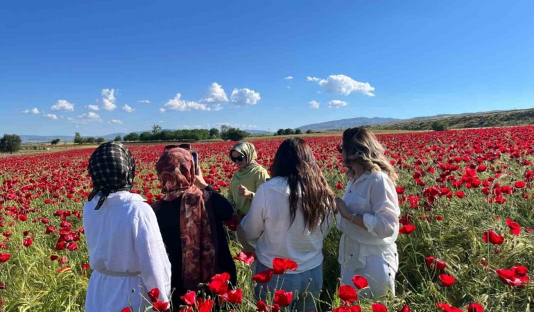elazig-yol-kenarinda-canli-gelincik-tarlalari-fotograf-tutkunlarini-buyuledi-CMxgH9h7.jpg