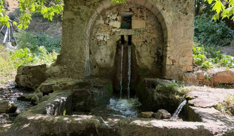 erganideki-tarihi-cesmenin-bakim-ihtiyaci-kervanlar-icin-su-temin-eden-ani-degerlendiriliyor-MOYkdV2I.jpg
