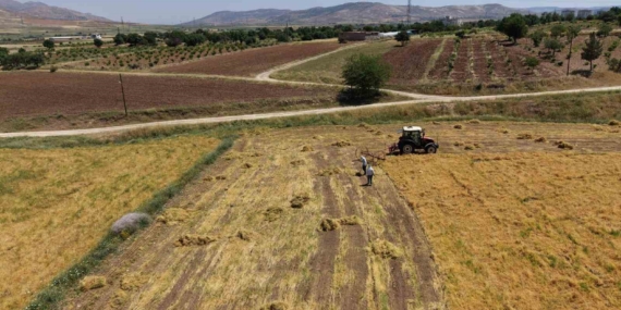 gercuste-mercimek-hasadi-yagislar-bereketi-ustun-kiliyor-aChEeedr.jpg