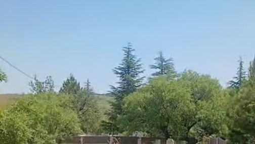 Harput Dağ Keçisi Görünümü: Tarih ve Doğa İç içe Geçiyor