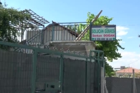 malatya-da-solucan-gubresiyle-ek-gelir-organik-tarima-yatirim-sfJYLWku.jpg
