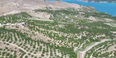 malatyanin-yas-kayisi-hasadi-basladi-ihracata-hazir-urunler-piyasaya-sunuluyor-SRudqnL1.jpg