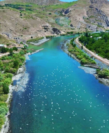 murat-nehrinde-marti-soleni-paludan-dronla-goruntulenen-anlar-aKBVfaCC.jpg
