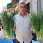 van-daglarinin-sifali-bitkileri-gecim-kaynagina-donusen-ot-toplama-sezonu-adrwL4HV.jpg