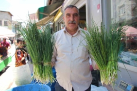 van-daglarinin-sifali-bitkileri-gecim-kaynagina-donusen-ot-toplama-sezonu-adrwL4HV.jpg