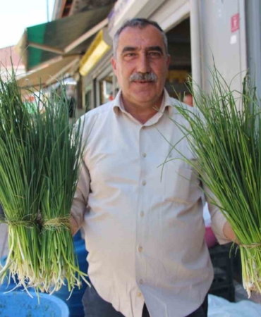 van-daglarinin-sifali-bitkileri-gecim-kaynagina-donusen-ot-toplama-sezonu-adrwL4HV.jpg