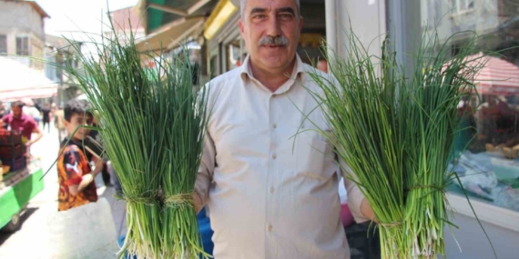 van-daglarinin-sifali-bitkileri-gecim-kaynagina-donusen-ot-toplama-sezonu-adrwL4HV.jpg