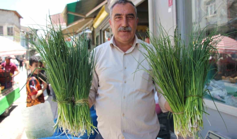 van-daglarinin-sifali-bitkileri-gecim-kaynagina-donusen-ot-toplama-sezonu-adrwL4HV.jpg
