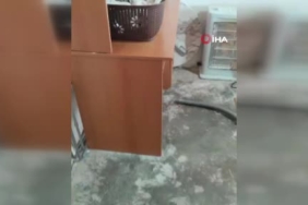 bismilde-ev-yatak-odasinda-yakalanan-yilan-dogal-yasam-alanina-birakildi-KIa3eqtT.jpg