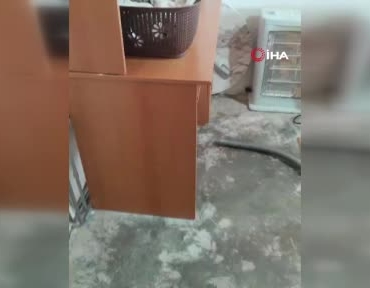 bismilde-ev-yatak-odasinda-yakalanan-yilan-dogal-yasam-alanina-birakildi-KIa3eqtT.jpg