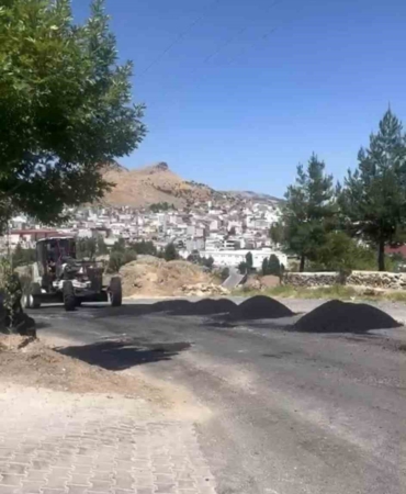 cermik-yol-onarimi-ve-haseran-grup-mahallesi-icin-agacli-protesto-sonrasi-geri-adim-5fkH5KHz.jpg