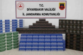 diyarbakir-jandarma-operasyonunda-35-supheli-hakkinda-islem-fGyz4ZzU.jpg