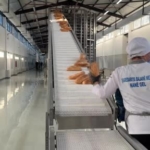 diyarbakirda-100-bin-ekmek-kapasiteli-halk-ekmek-fabrikasinin-acilisi-YRK7kGgz.jpg