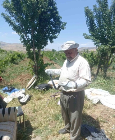 dogayi-korumak-icin-sefkatle-yakalanan-yilan-molla-huseyin-barlakin-bilincli-yaklasimi-vQ6JrHpS.jpg