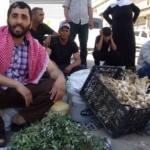 gercuste-semizotu-sifa-kaynagi-bahceden-pazara-dokulen-dogal-destek-Z3bTOkrR.jpg