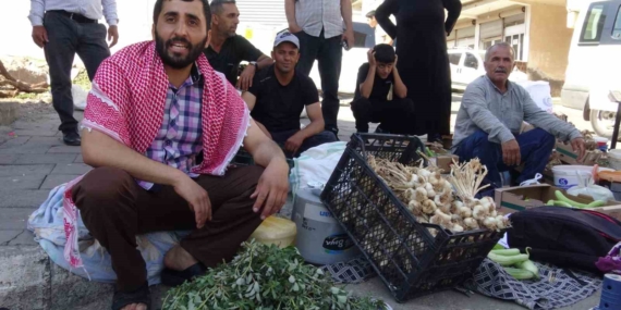 gercuste-semizotu-sifa-kaynagi-bahceden-pazara-dokulen-dogal-destek-Z3bTOkrR.jpg