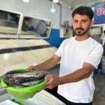 inci-kefali-av-sezonu-yeniden-basladi-goc-ve-pazar-satislari-PVirGHCQ.jpg