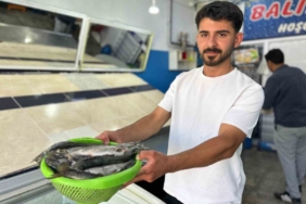 inci-kefali-av-sezonu-yeniden-basladi-goc-ve-pazar-satislari-PVirGHCQ.jpg